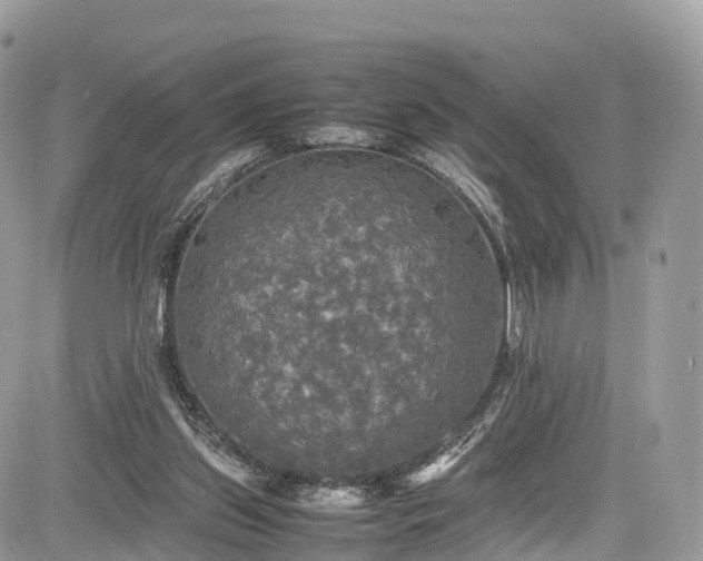 X0000085270157200703161438