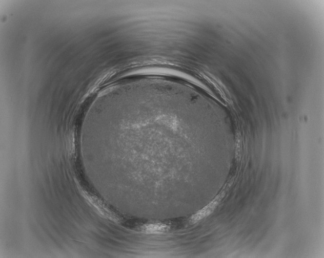 X0000085270158200703161439