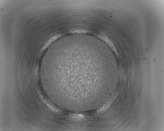 X0000085270159200703161439