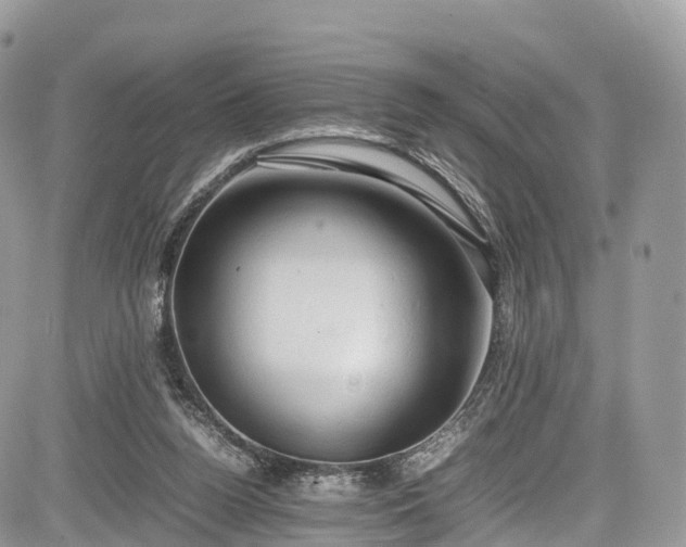 X0000085270160200703161439