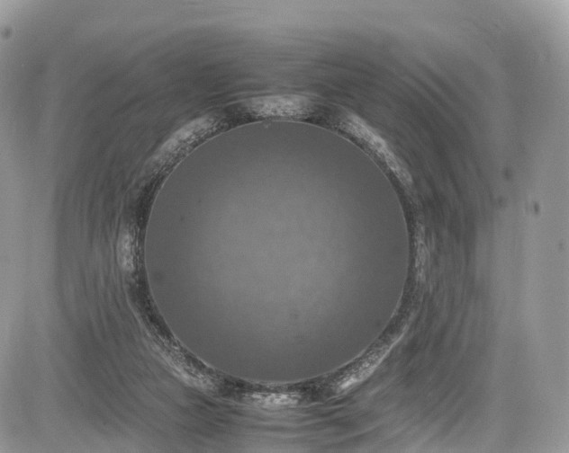 X0000085270161200703161439