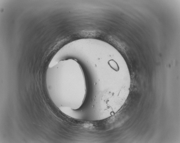 X0000085270162200703161439