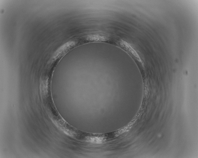 X0000085270163200703161439