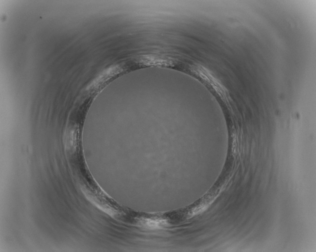 X0000085270165200703161439