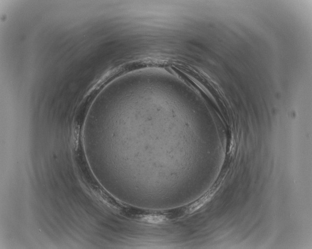 X0000085270168200703161439