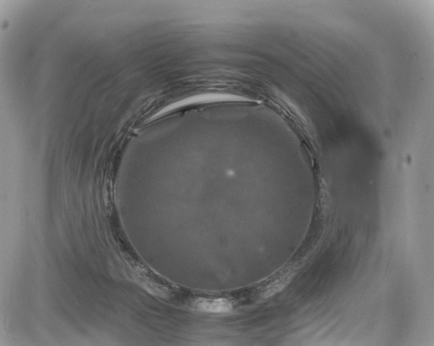 X0000085270169200703161439