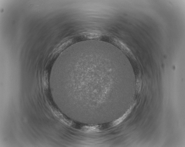 X0000085270170200703161439