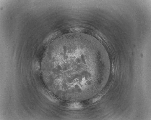 X0000085270173200703161439