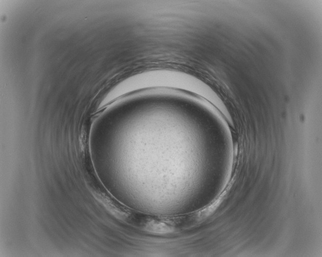 X0000085270174200703161439