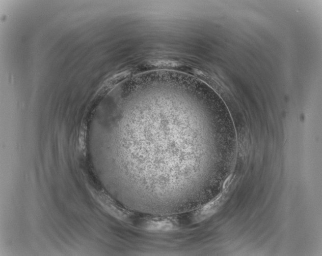 X0000085270175200703161439