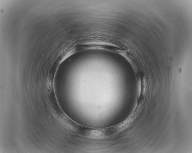 X0000085270176200703161439