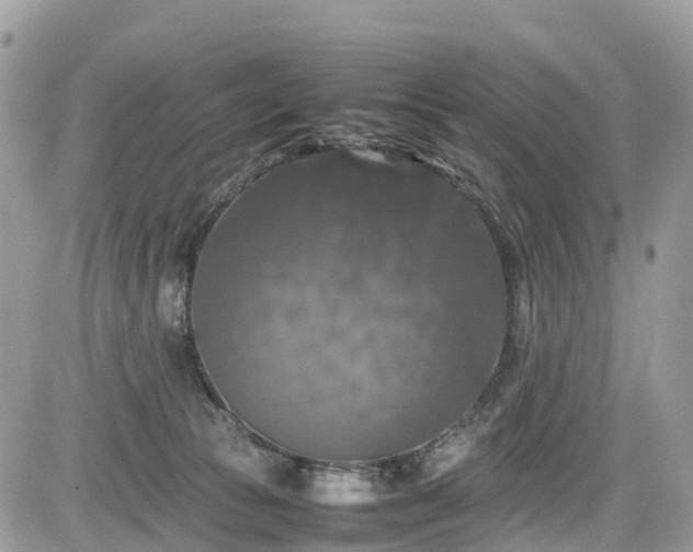 X0000085270177200703161439