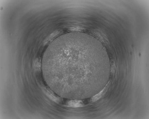 X0000085270179200703161439