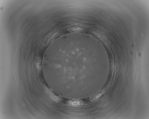 X0000085270181200703161439