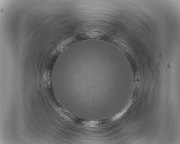 X0000085270182200703161439