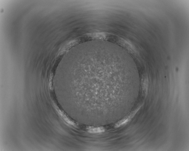 X0000085270185200703161439