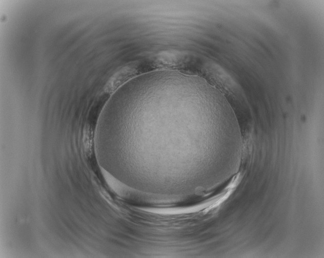 X0000085270186200703161439