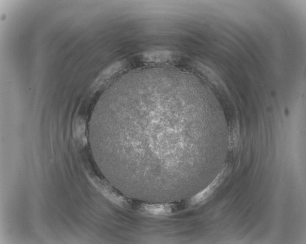 X0000085270187200703161439