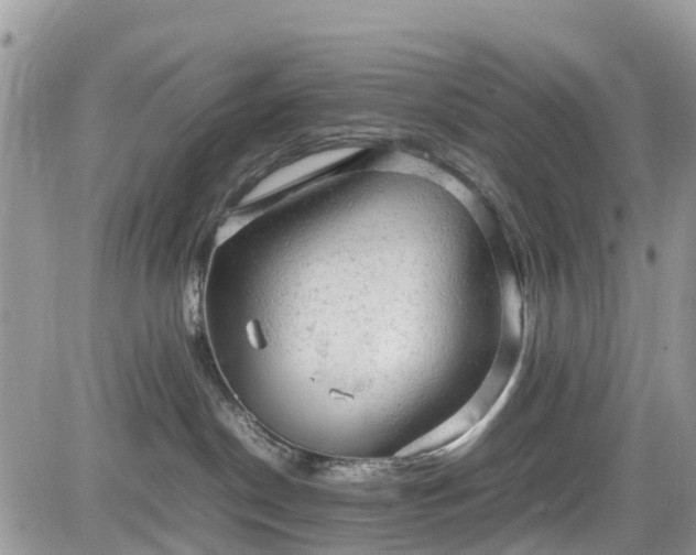 X0000085270190200703161439