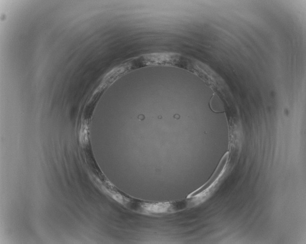 X0000085270191200703161439