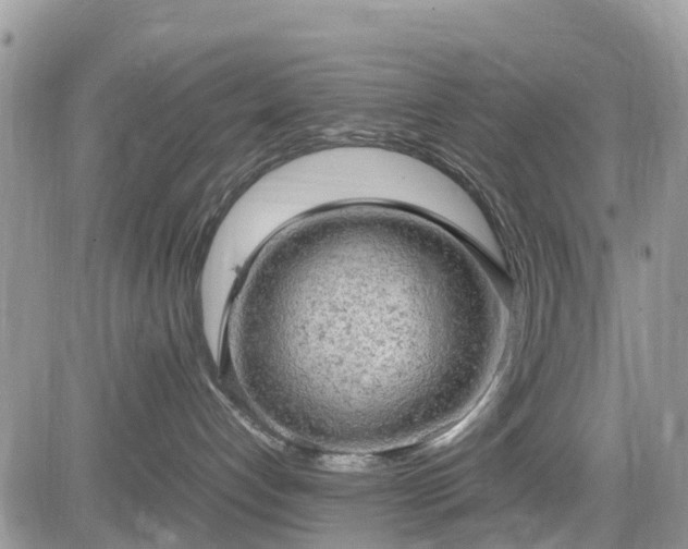 X0000085270192200703161439