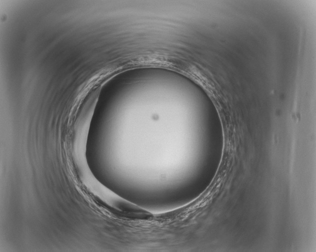 X0000085270193200703161438