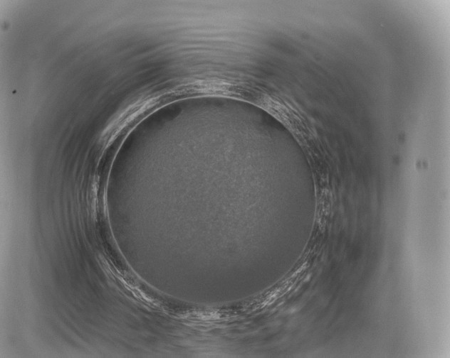 X0000085270194200703161438