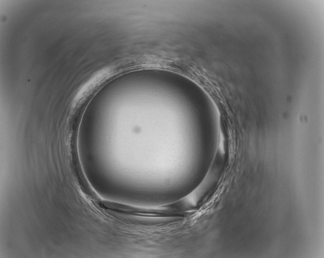 X0000085270197200703161438