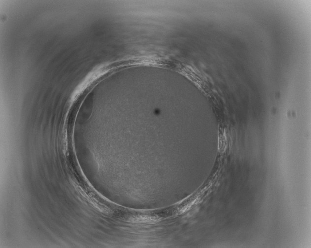 X0000085270198200703161438