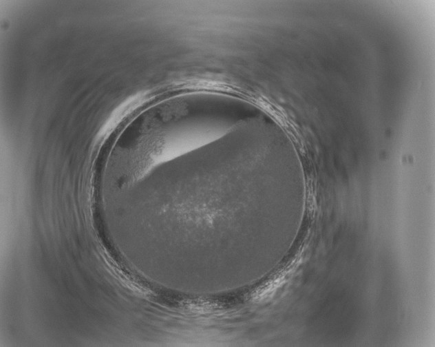 X0000085270199200703161438