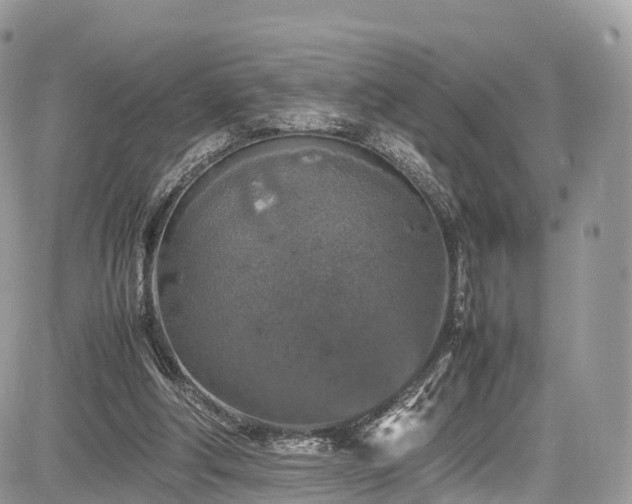 X0000085270202200703161438