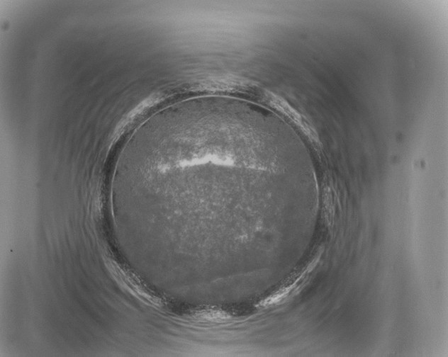 X0000085270203200703161438