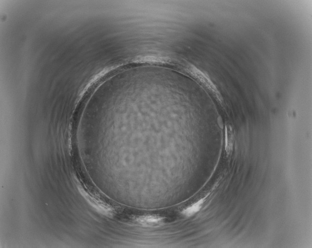 X0000085270204200703161438