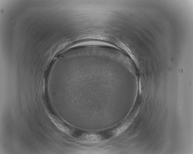 X0000085270205200703161438