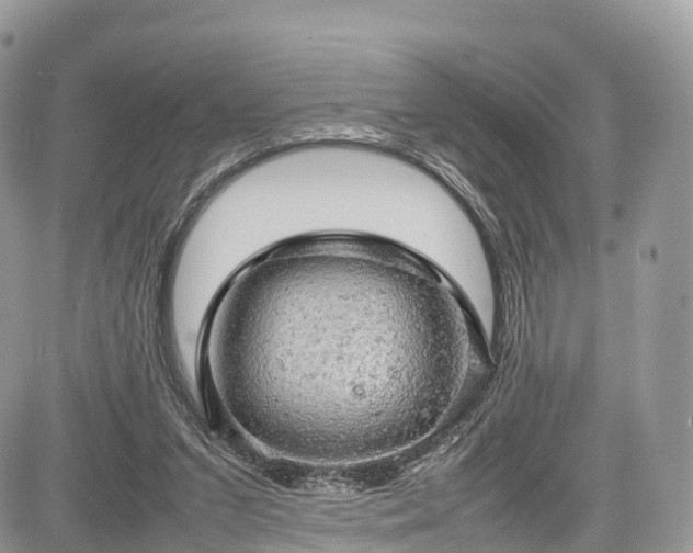 X0000085270207200703161438