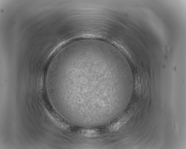 X0000085270208200703161438