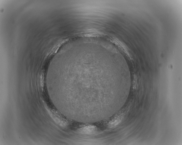 X0000085270210200703161438