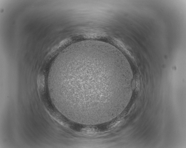 X0000085270211200703161438