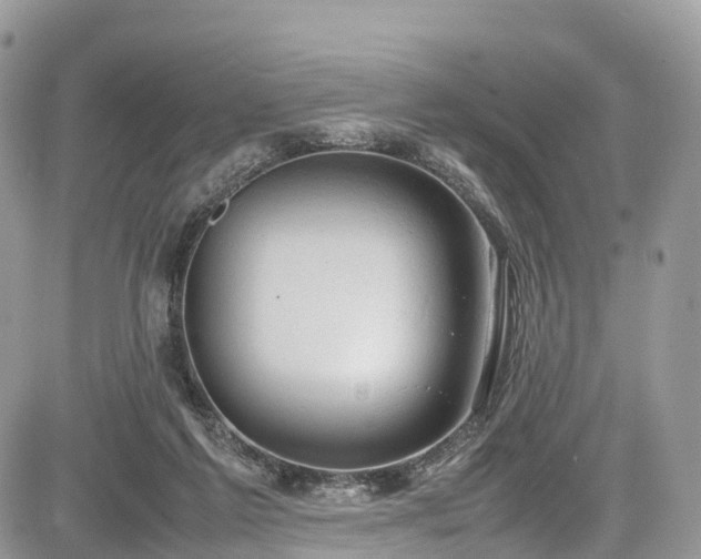 X0000085270213200703161438