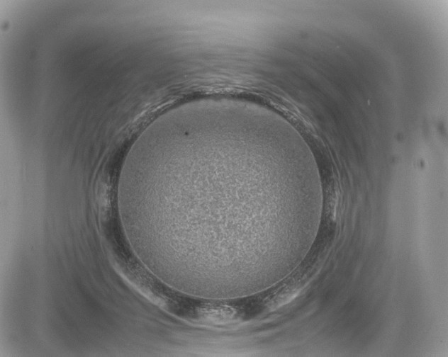 X0000085270215200703161438