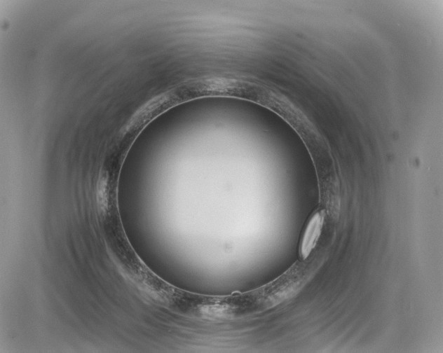 X0000085270216200703161438