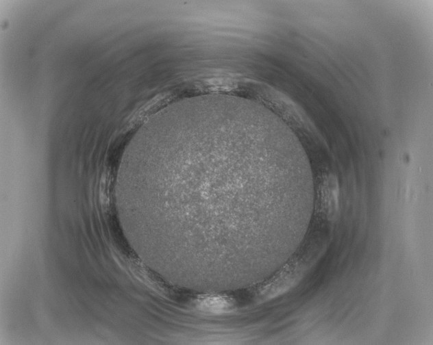 X0000085270218200703161438