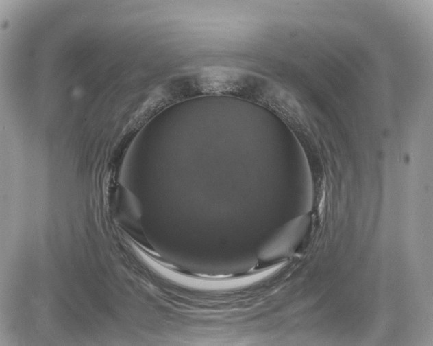 X0000085270219200703161438