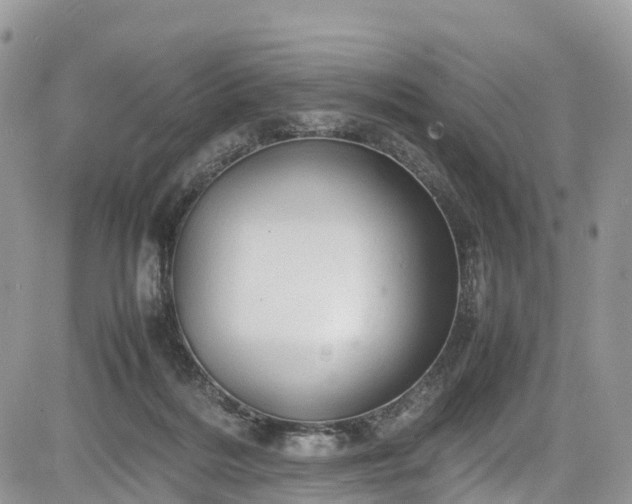 X0000085270220200703161438