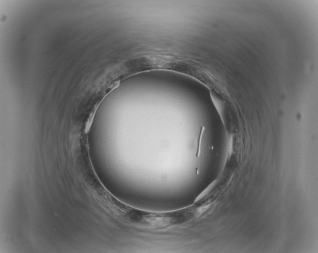 X0000085270221200703161438