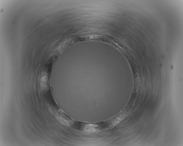 X0000085270222200703161438