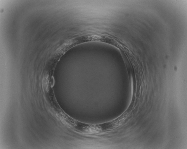 X0000085270223200703161438