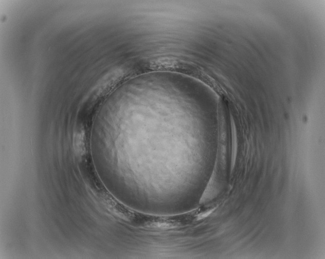 X0000085270224200703161438