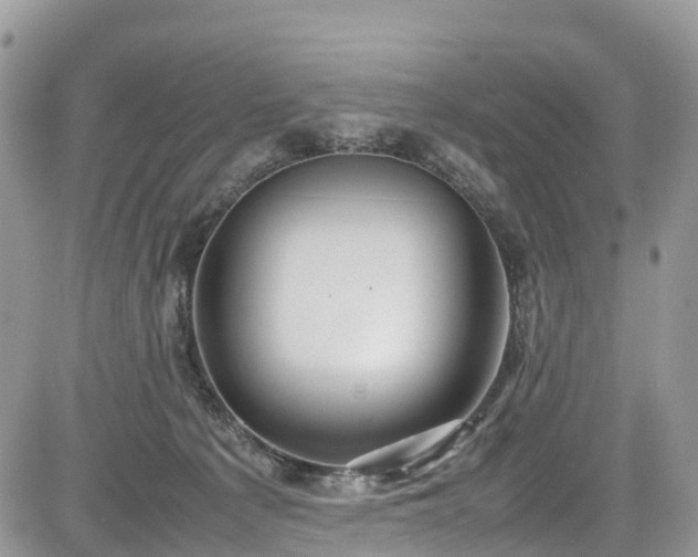 X0000085270225200703161438