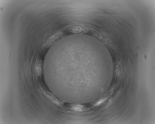 X0000085270226200703161438